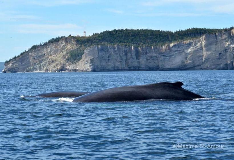 مبيت وإفطار Gîte Pétales De Rose