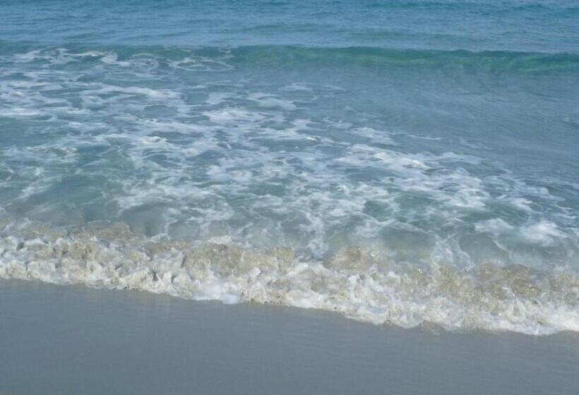 צימר Il Canarino Affittacamere