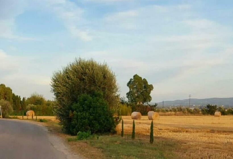 مبيت وإفطار Il Cantuccio