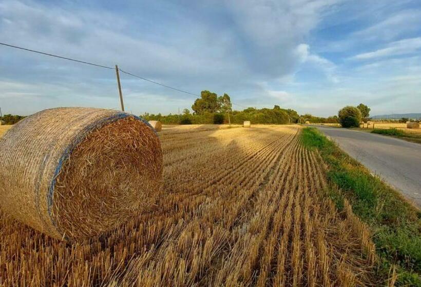 مبيت وإفطار Il Cantuccio