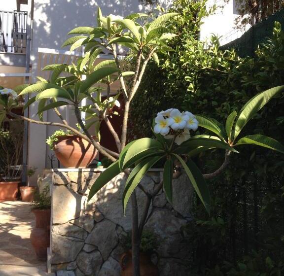 Bed and Breakfast Il Giardino Dei Limoni