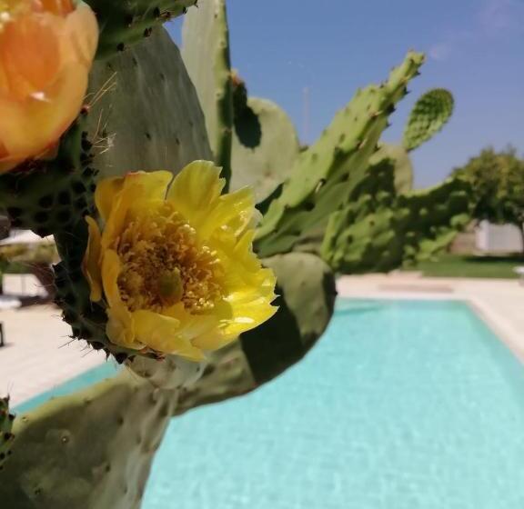 צימר Il Giardino Del Tiglio