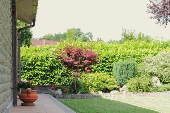 צימר La Casa Di Muro