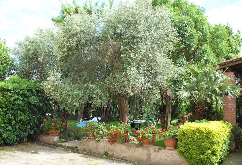 مبيت وإفطار La Convenienza