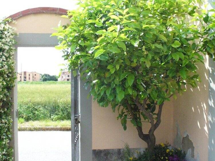 مبيت وإفطار La Convenienza