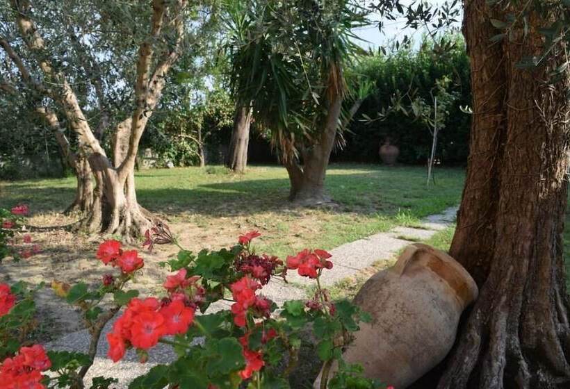 مبيت وإفطار La Convenienza