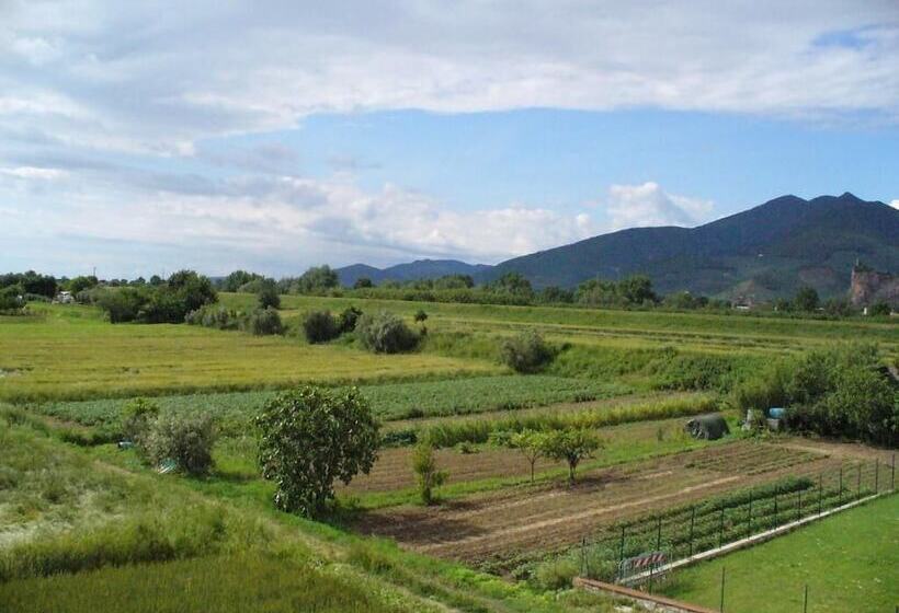 مبيت وإفطار La Convenienza