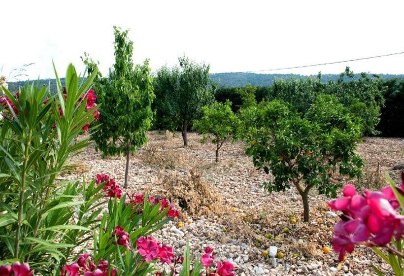 住宿加早餐  La Formichina