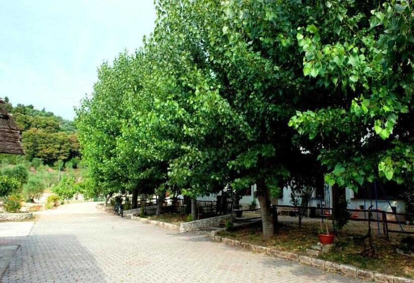 住宿加早餐  La Formichina