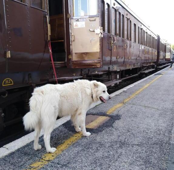 مبيت وإفطار La Pretèra