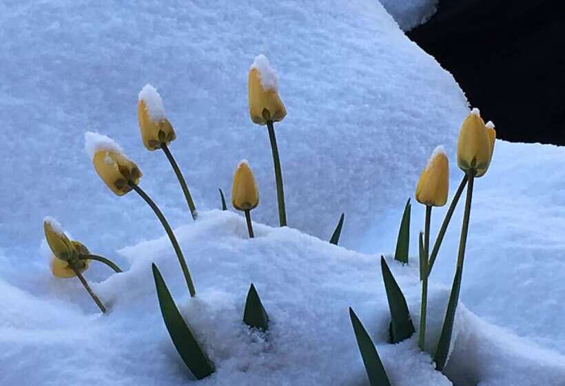 צימר La Roche Meane