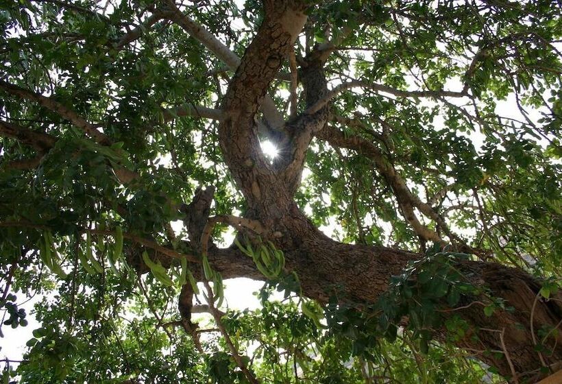 تختخواب و صبحانه La Suma Sumalia