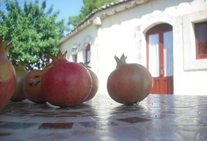 تختخواب و صبحانه La Suma Sumalia