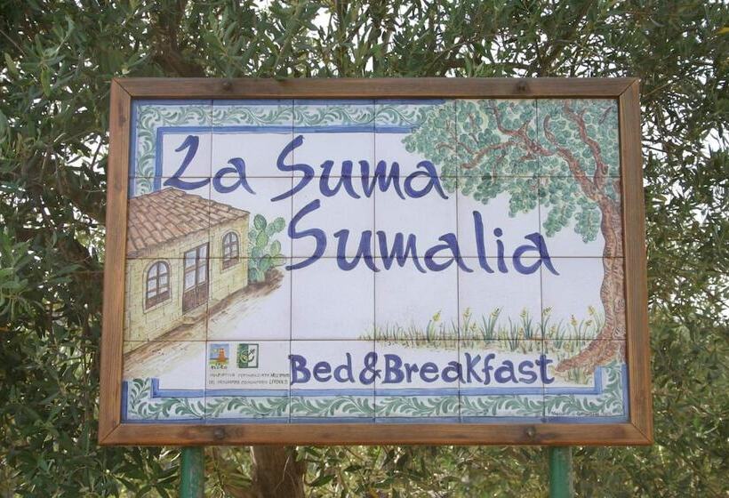 تختخواب و صبحانه La Suma Sumalia