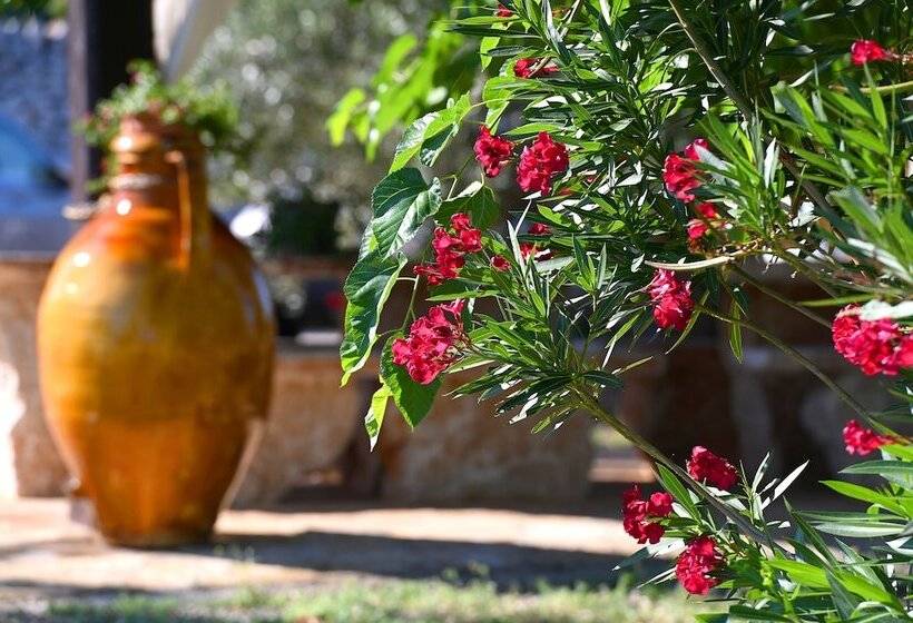 ベッドアンドブレックファースト Masseria Peppeturro