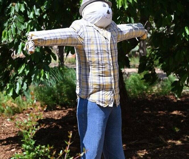 ベッドアンドブレックファースト Masseria Peppeturro