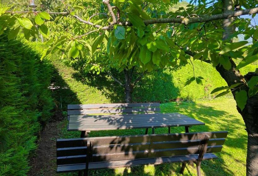 민박 Pension Rebgut