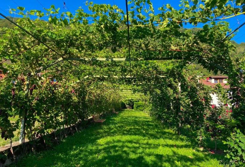 민박 Pension Rebgut