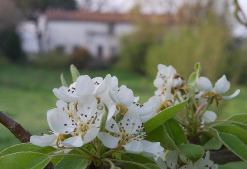 צימר Podere Pinzicalari