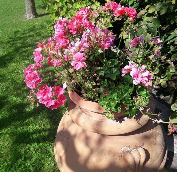 ベッドアンドブレックファースト Poggio La Grognola