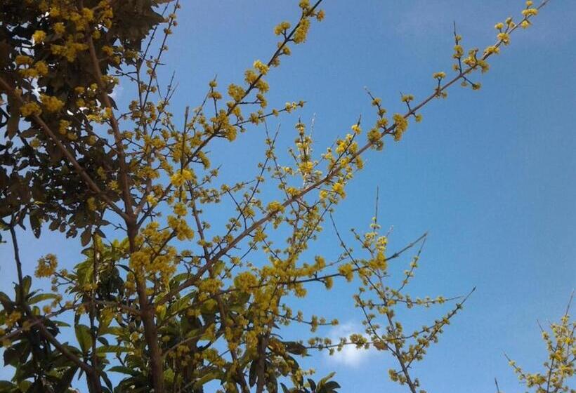 ベッドアンドブレックファースト Poggio La Grognola