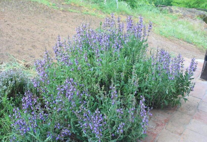 مبيت وإفطار Poggioba