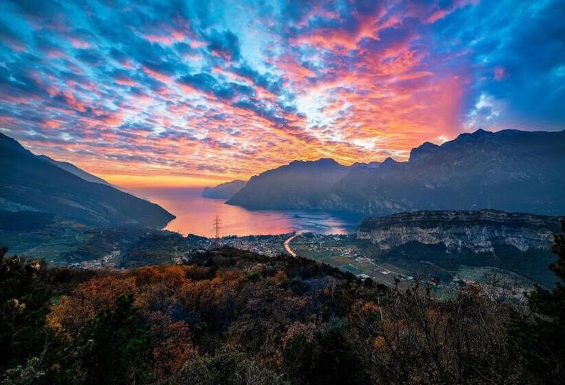 تختخواب و صبحانه Riva City View