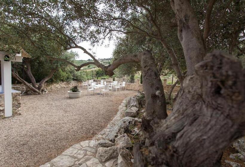 تختخواب و صبحانه Roba Degli Ulivi