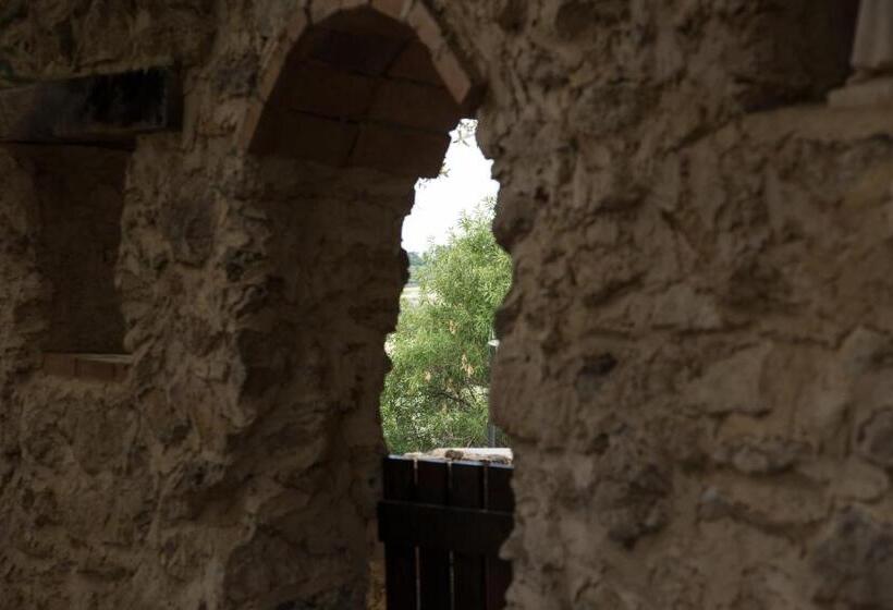 تختخواب و صبحانه Roba Degli Ulivi