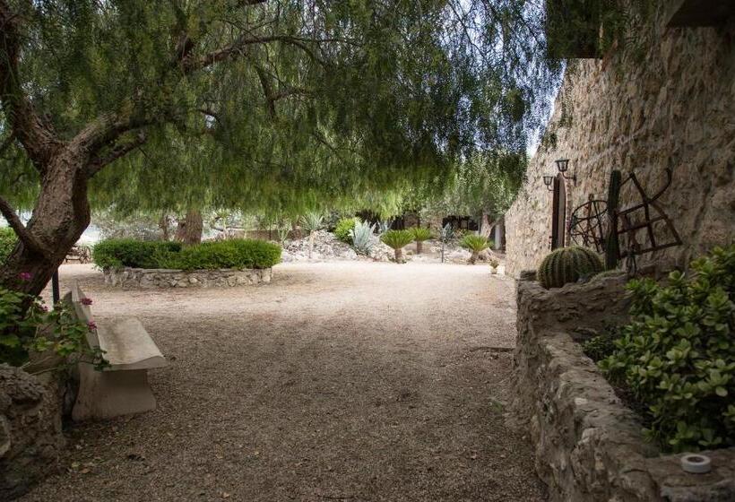 تختخواب و صبحانه Roba Degli Ulivi