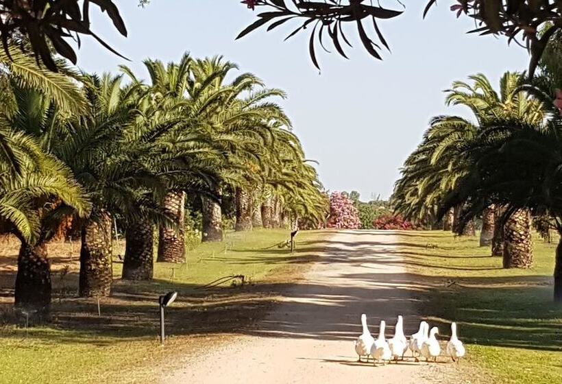 住宿加早餐 Santa Igia Country House