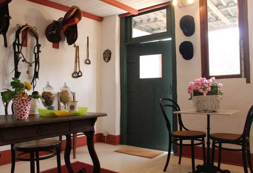 住宿加早餐 Santa Igia Country House