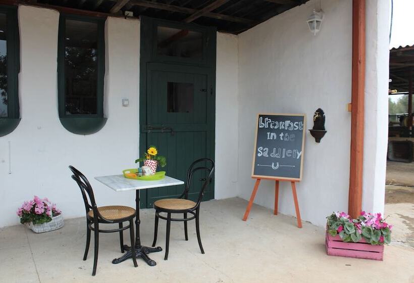 住宿加早餐 Santa Igia Country House