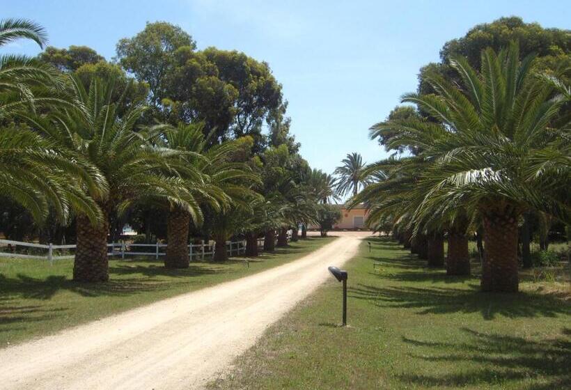住宿加早餐 Santa Igia Country House