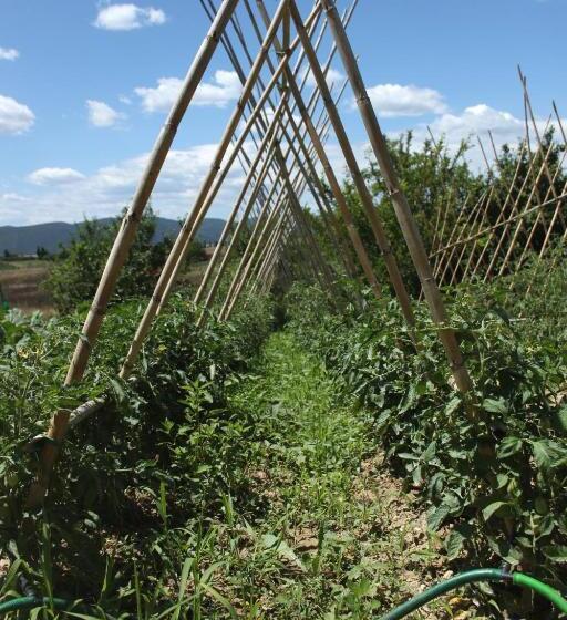 민박 Tenuta La Santissima