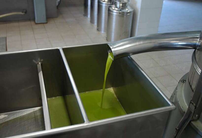 تختخواب و صبحانه Tenuta Le Viiste