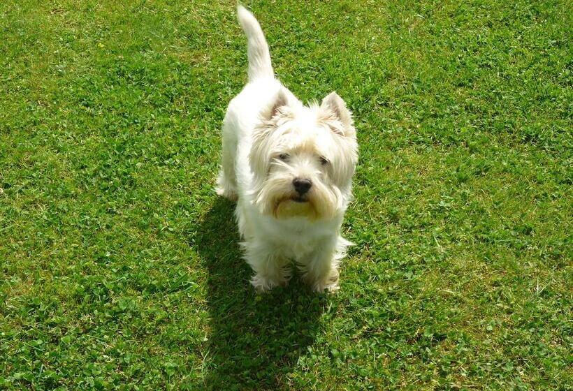 تختخواب و صبحانه Tenuta Le Viiste