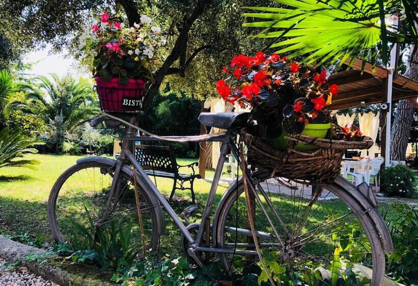 مبيت وإفطار Villa Berghella