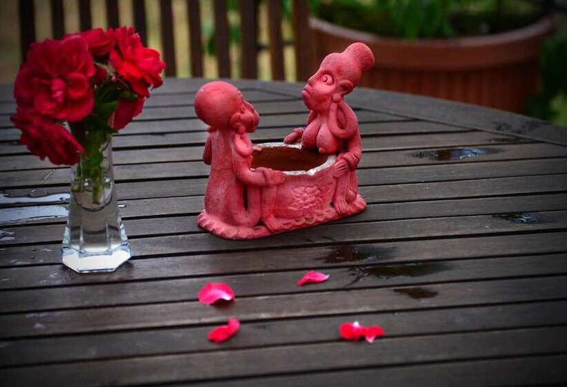 تختخواب و صبحانه Villa Etruria Guest House