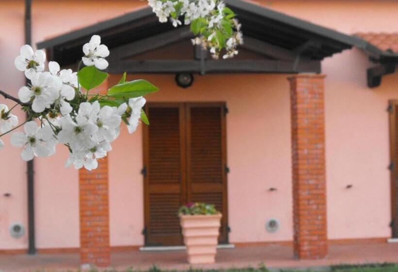 تختخواب و صبحانه Villa Etruria Guest House