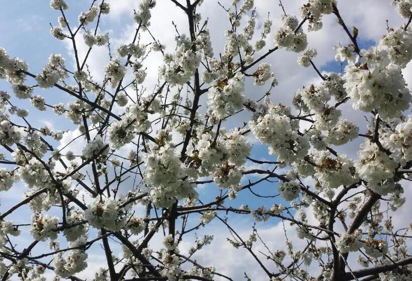 Bed & Breakfast Casa Lisetta