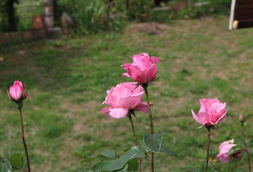 Bed & Breakfast Casa Lisetta