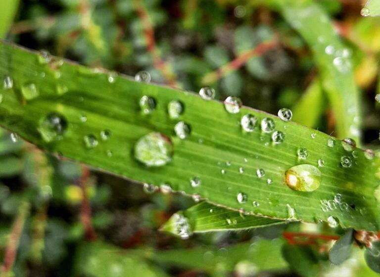 Bed & Breakfast Casa Lisetta