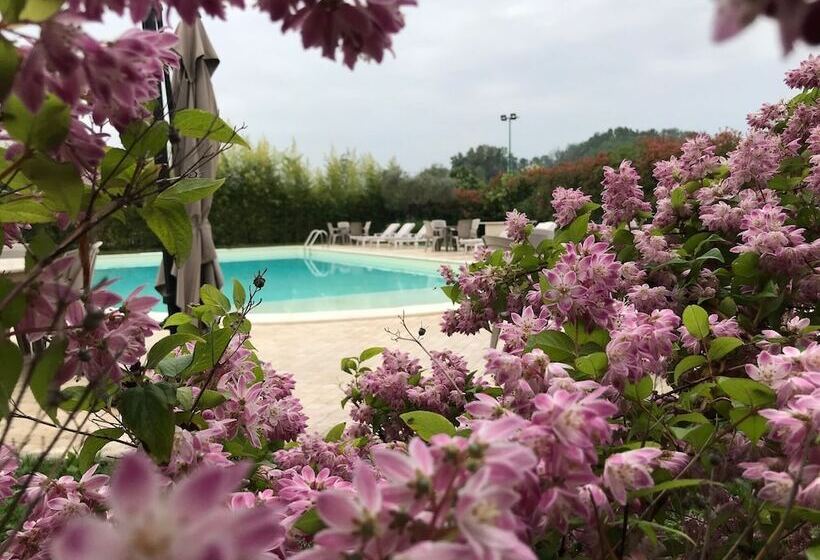 Bed & Breakfast Case Osti