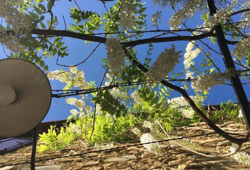 Borgata Cantone Country House B&b