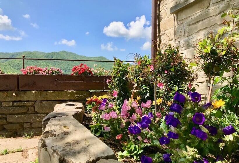 בית מלון כפרי Agriturismo Biologico Castello Della Pieve