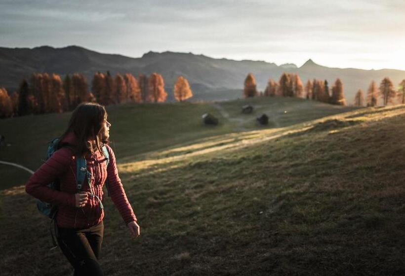 בית מלון כפרי Andermax