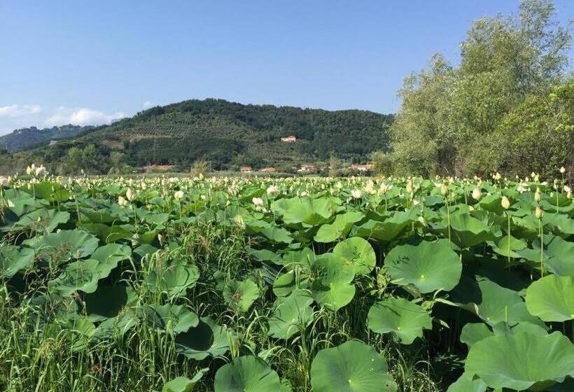فندق Cecco Di Nara