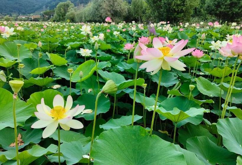 فندق Cecco Di Nara