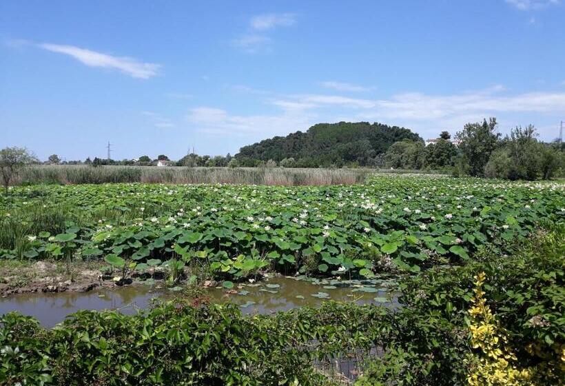 فندق Cecco Di Nara